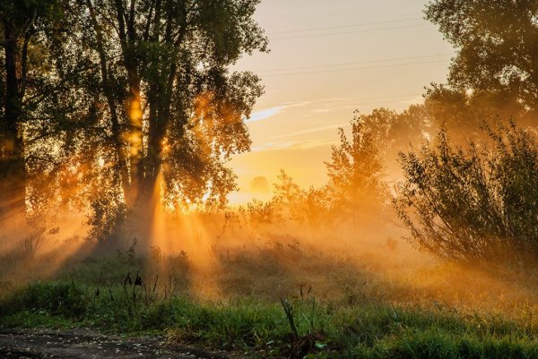 Восход солнца летом