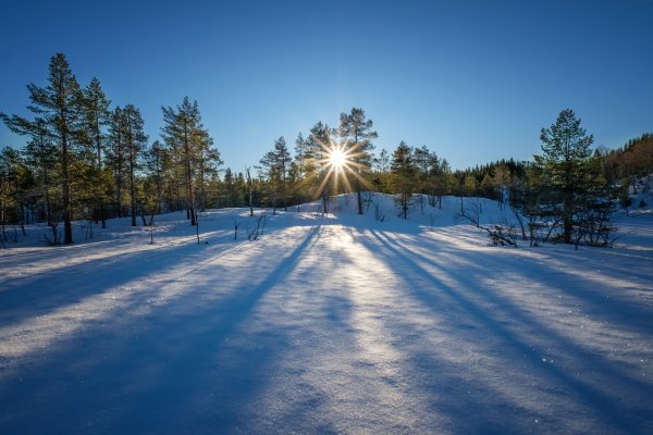 Разноцветная зима