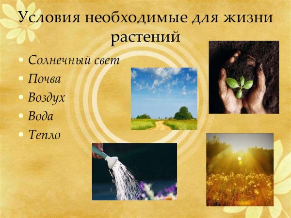 Стихии огонь вода воздух земля