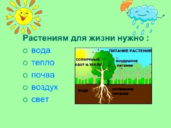 Солнце воздух вода земля