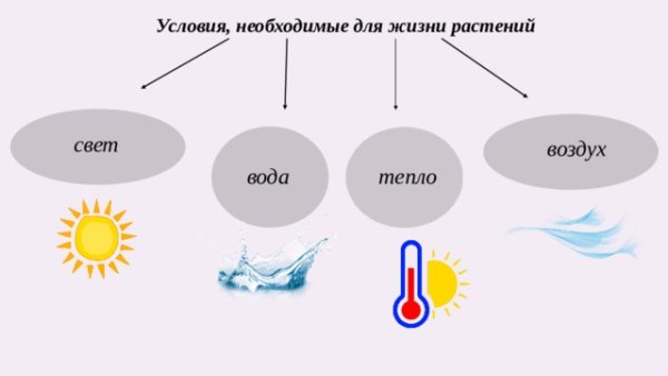 Свет свет тепло вода воздух