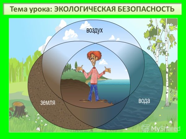 Фотосинтез солнечной энергии растения