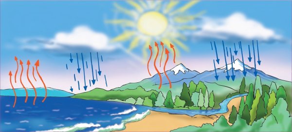 Вода свет воздух тепло