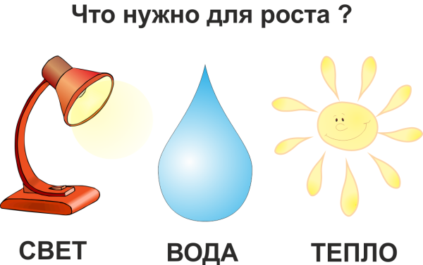 Воздух вода почва