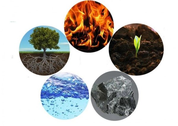 Условия необходимые для роста растений