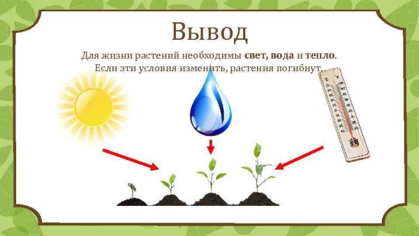 Фактуры неживой природы