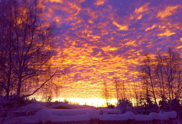 Рассвет зимой
