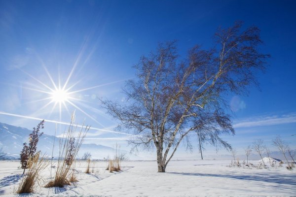 Яркое солнце зимой
