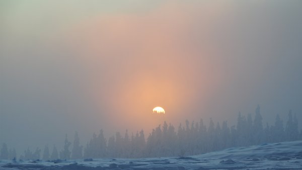 Снежная пелена