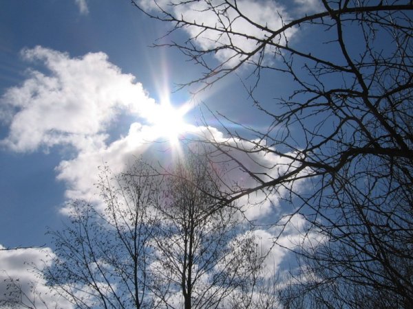 Слайд солнышко