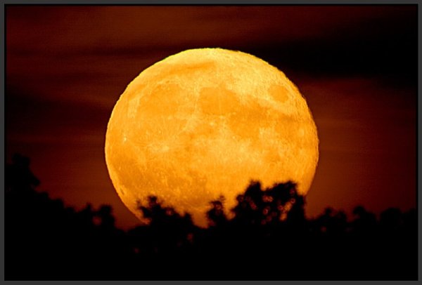 Луна отражает свет солнца