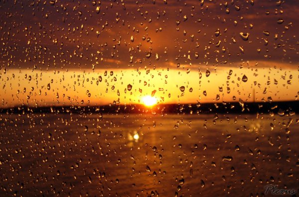 Весна дождь солнце