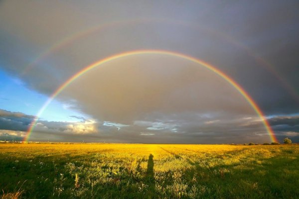 Весна солнце