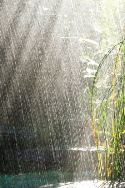 Дождь и солнце