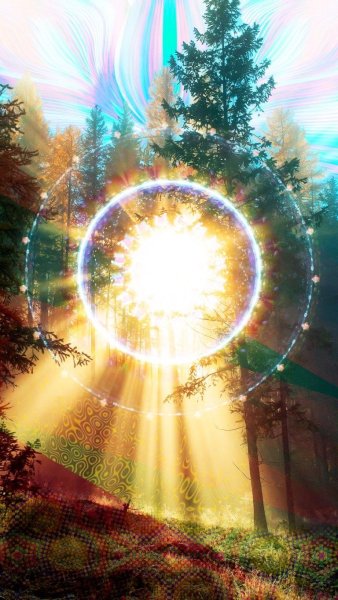 Свет солнца