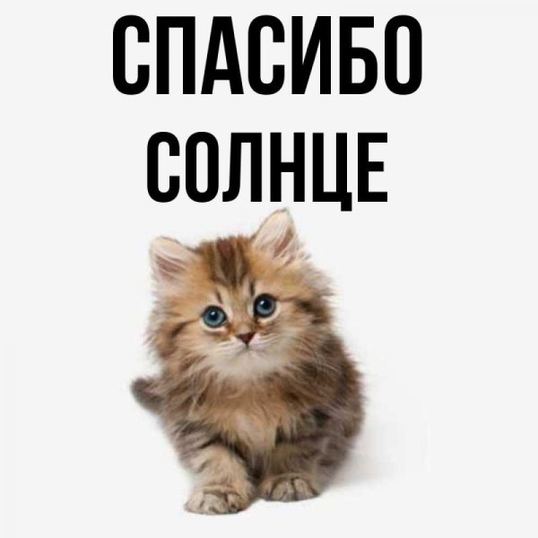 Открытки спасибо солнечные