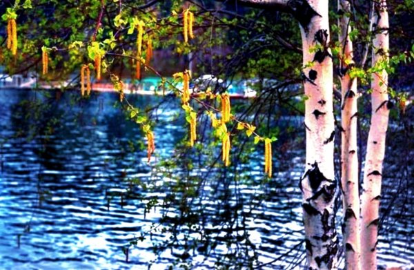 Ноябрь туман