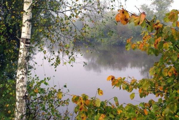 Весенний дождь и Радуга