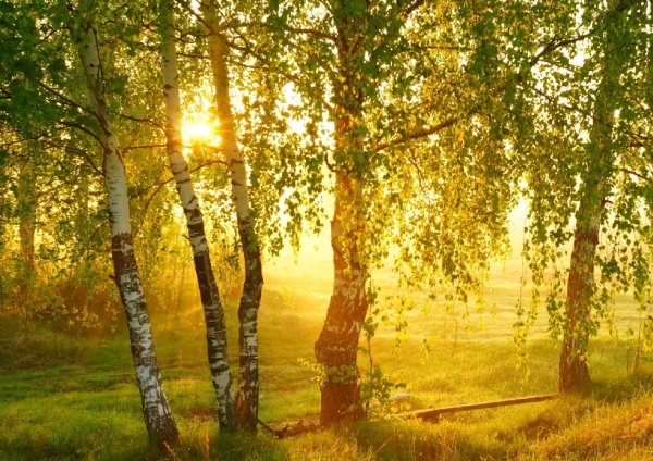 Осень перед дождем