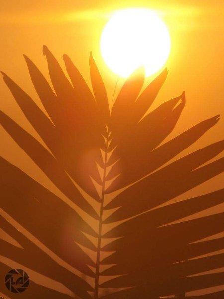 Солнце Эстетика