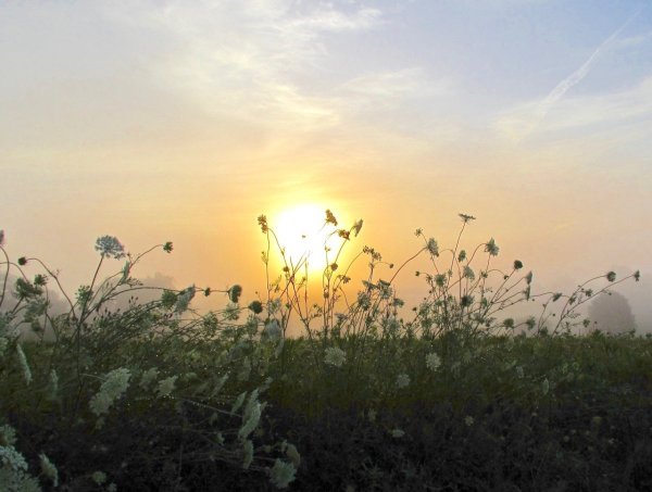 Эстетика ярко желтого