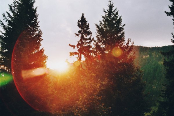 Тепло солнца