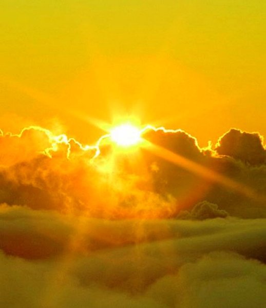 Эстетика природы оранжевый