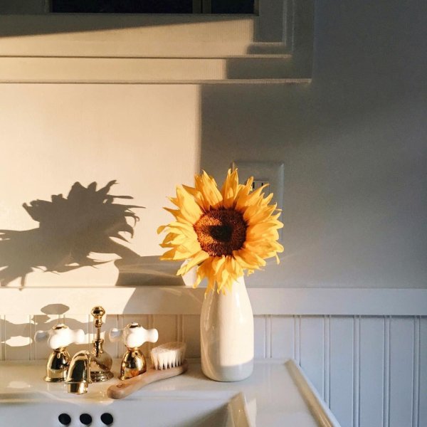 Солнечные лучи в окне