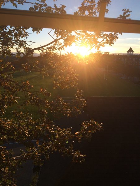 Блик солнца