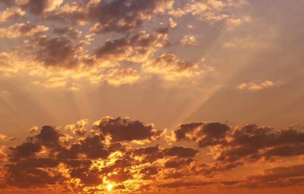 Розовое облако