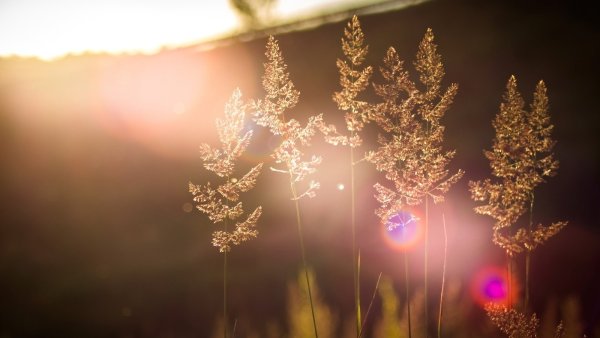 Атмосферное лето