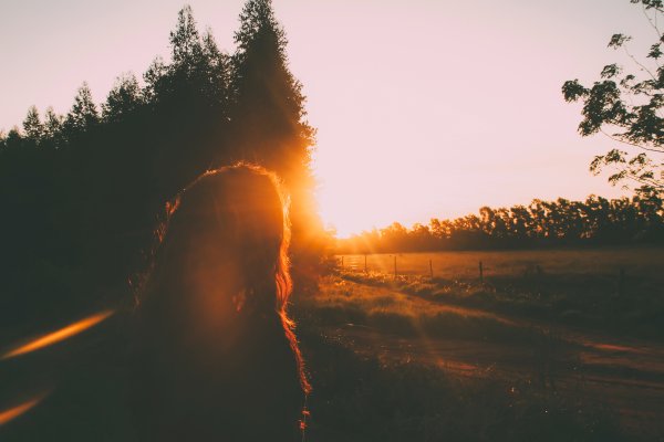 Рассвет в коричневых тонах