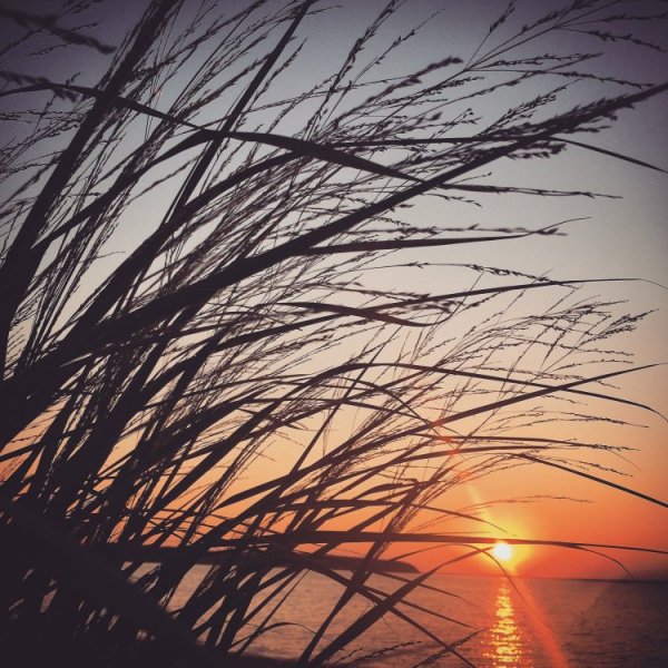 Эстетика тени от солнца