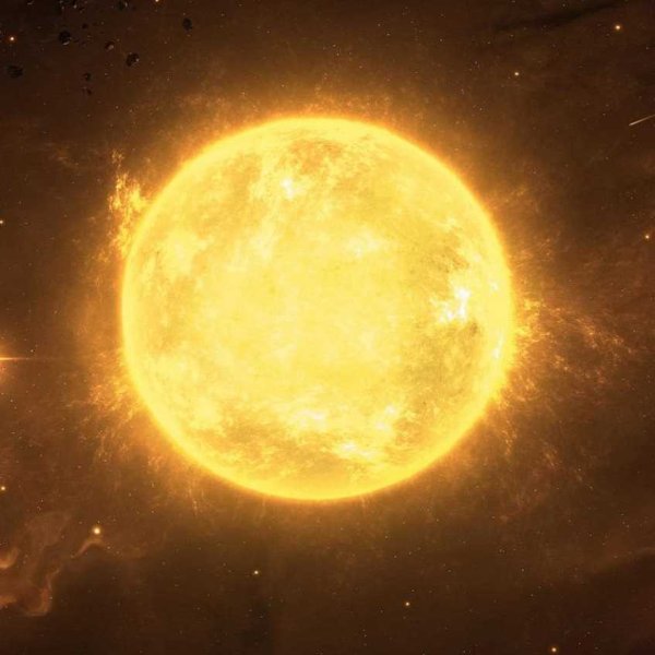 Травинки на закате