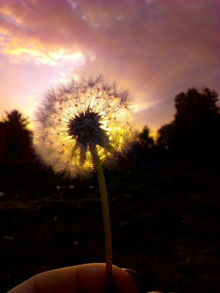 Небо солнце