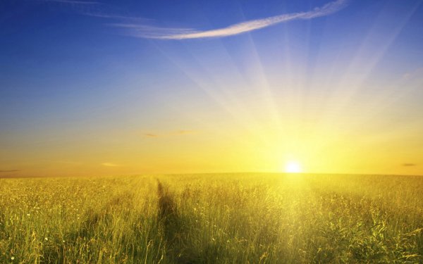 Солнце горизонтальная