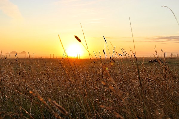 Красивый рассвет