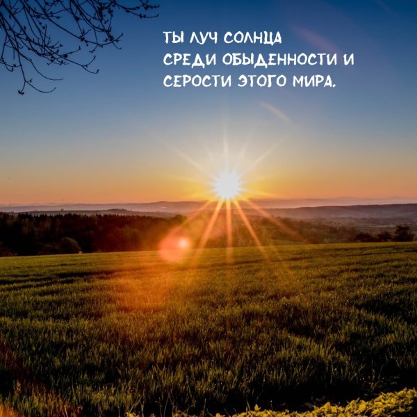 Луч солнца в ладонях