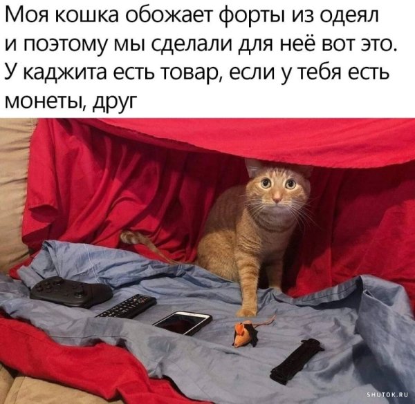 Улыбнись солнце