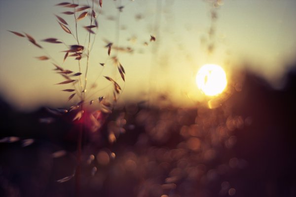 Блик солнца днем