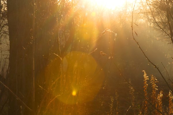 Солнечный свет блики