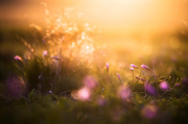 Лучи солнца блики