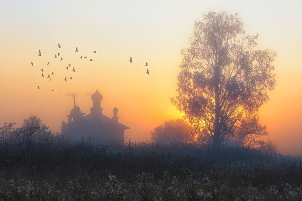 Птицы над храмом