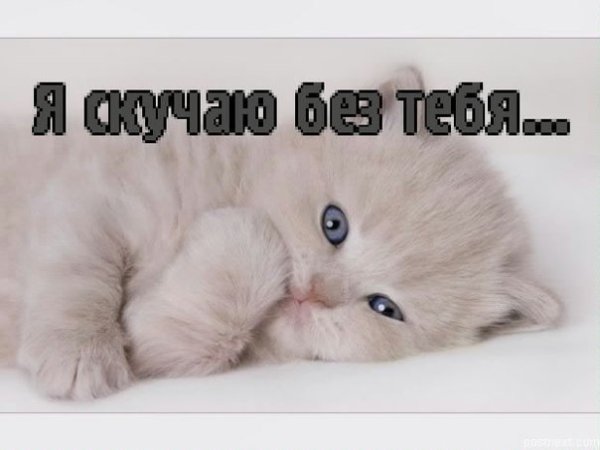 Мне скучно без тебя