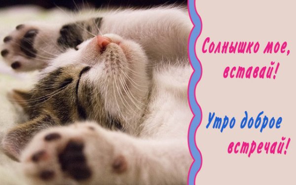 Открытки с добрым утром прикольные