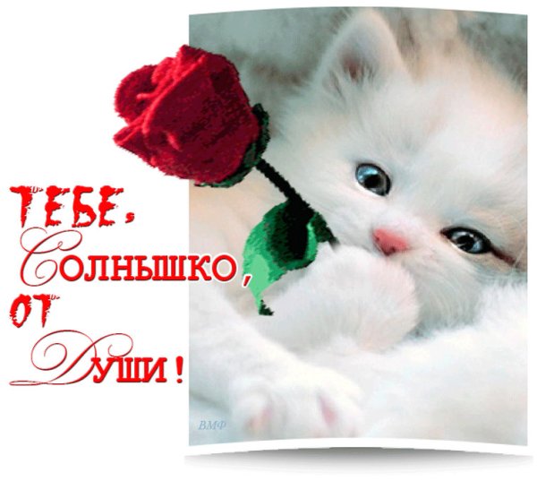 Открытка солнышко