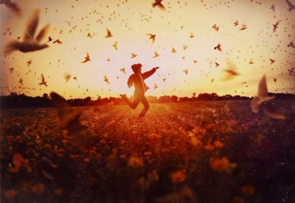 Пьяное солнце Ноты для фортепиано