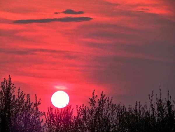 Алексеев Океанами певец