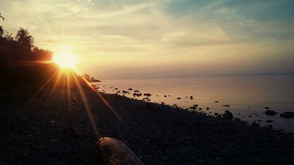 Алексеев надпись