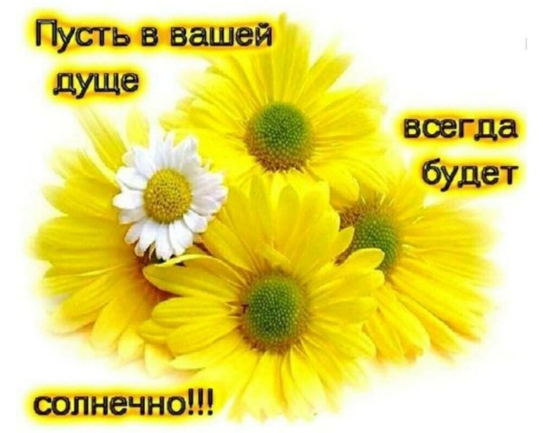 Пусть на душе будет всегда тепло и радостно